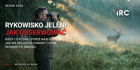 Rykowisko jeleni: kiedy jest i jak je obserwować nocą