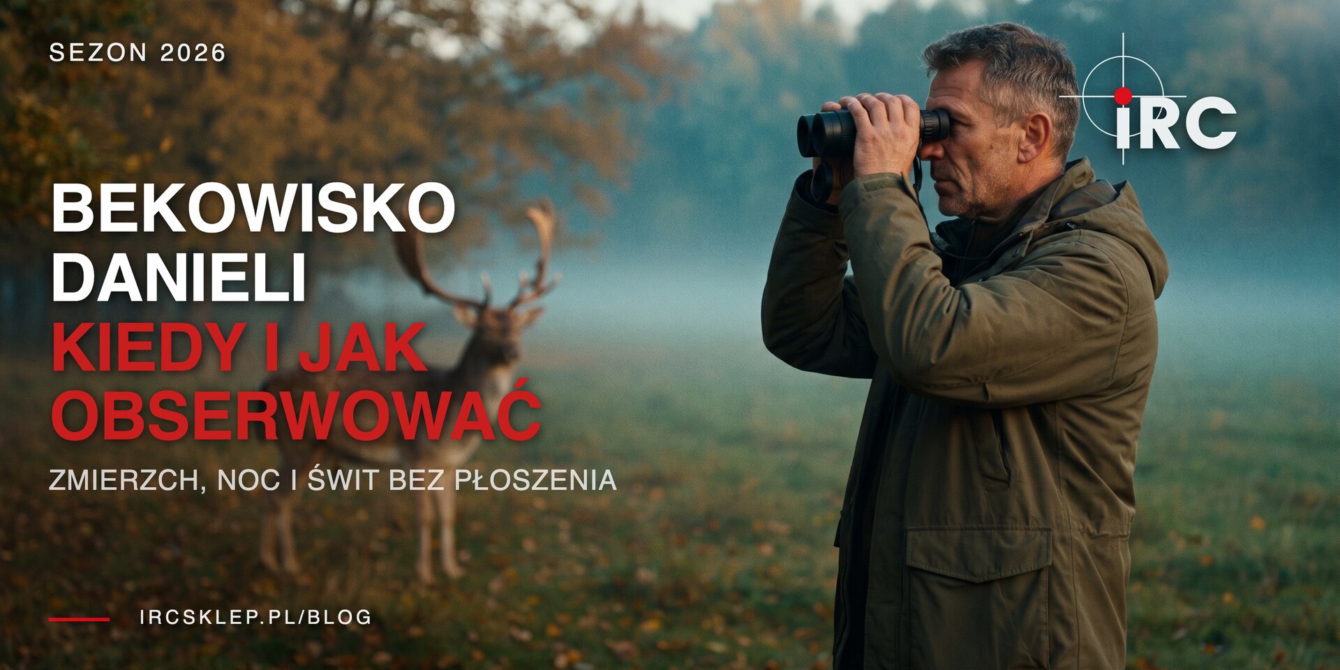 Bekowisko danieli: kiedy jest i jak je obserwować nocą