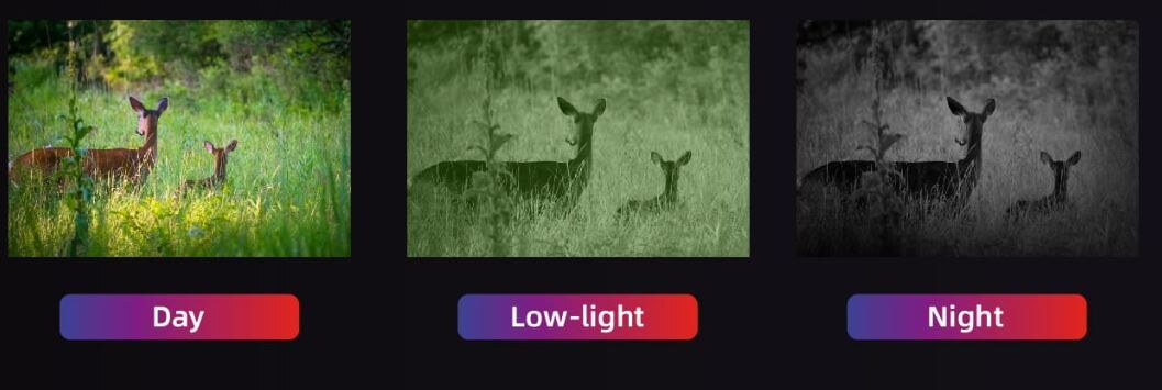 GUIDE DU50 — tryby wyświetlania dzień, słabe światło i noc